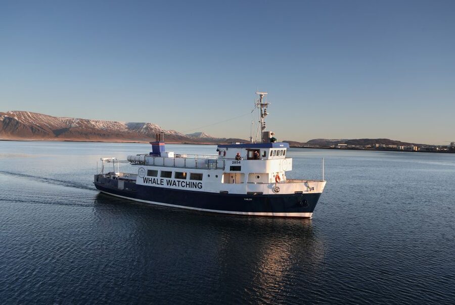 From Reykjavik: New Years Fireworks by Boat - Quick hits before you go