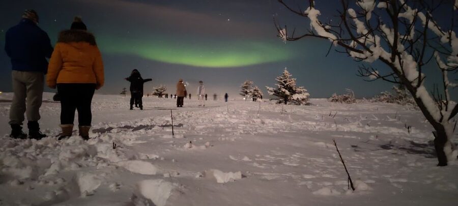 From Reykjavik: Northern Lights Chase with Expert Guide - What a 3.5-hour Northern Lights chase from Reykjavik is really like