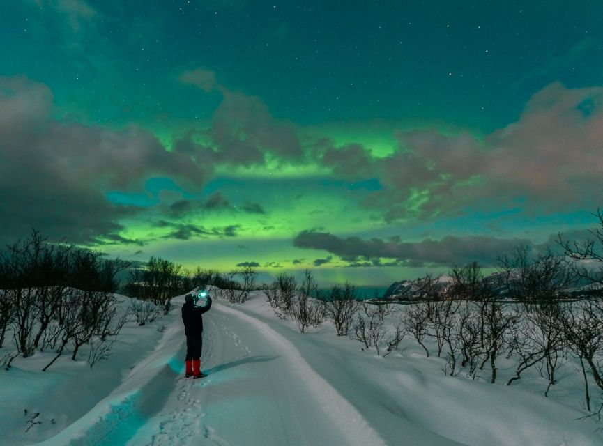 From Reykjavik: Northern Lights Chase with Expert Guide - Price and value at around $73 per person, plus the free retry