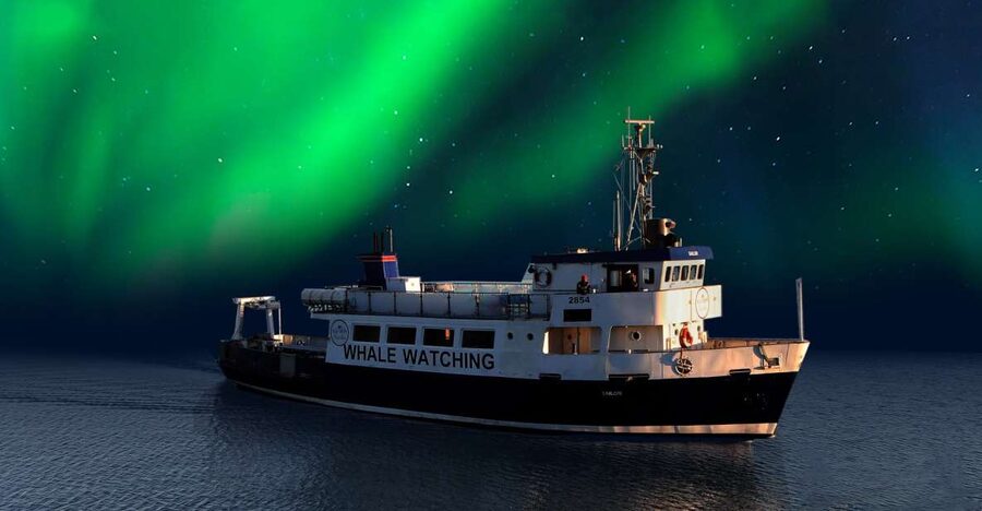 From Reykjavik: Northern Lights Sightseeing Cruise - Key things I’d plan around for this Reykjavik cruise
