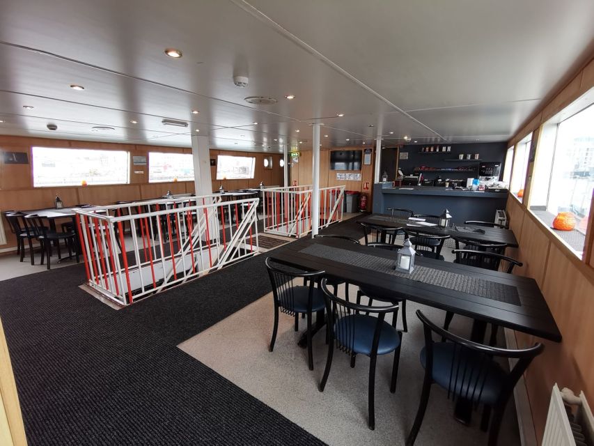 From Reykjavik: Northern Lights Sightseeing Cruise - Why watching aurora from the ocean feels different in Reykjavik