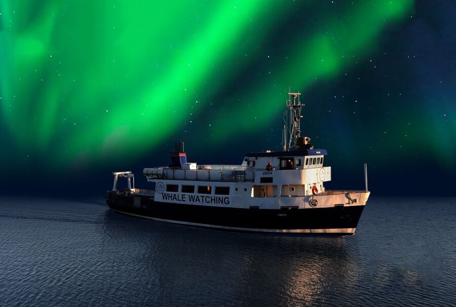 From Reykjavik: Northern Lights Sightseeing Cruise - The 2-hour hunt: leaving Reykjavik’s glow and watching for green