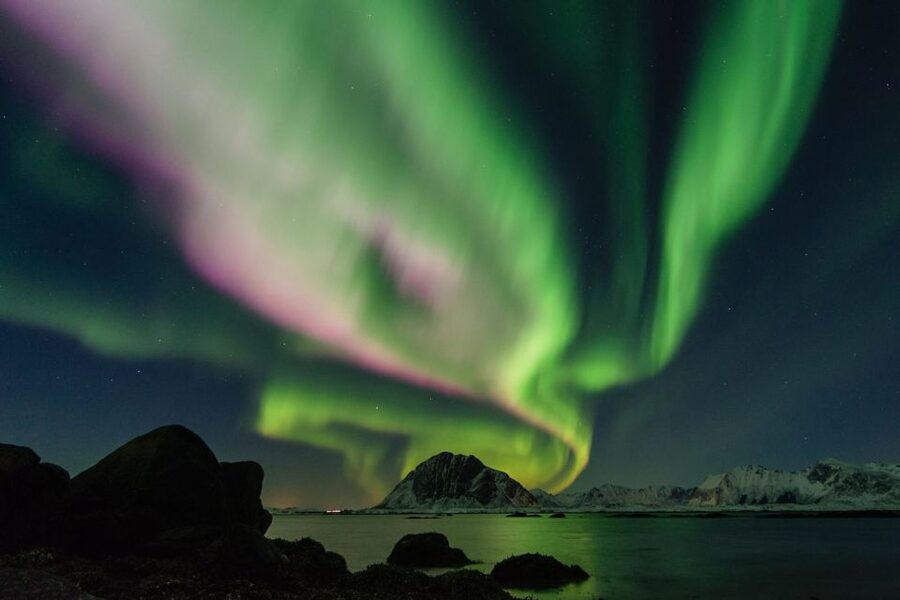 From Reykjavik: Northern Lights Sightseeing Cruise - How the guide spotting approach raises your odds (and your photos)