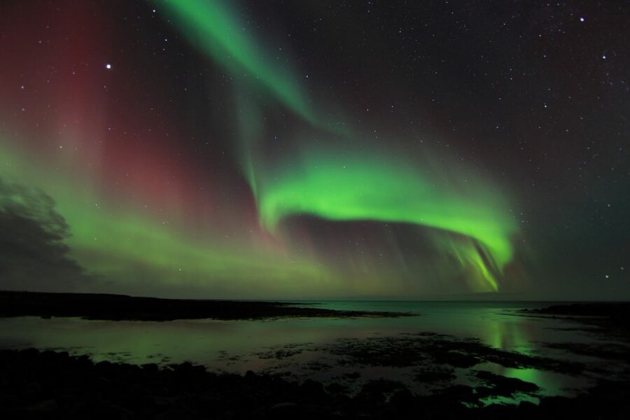 From Reykjavik: Northern Lights Tour - Key things to know before you go