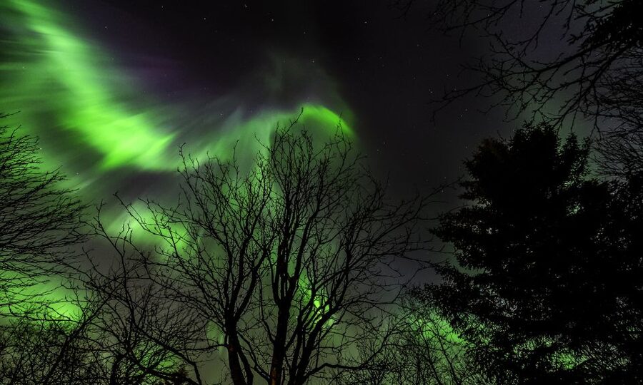 From Reykjavik: Northern Lights Tour with Lifetime Guarantee - A Reykjavik Northern Lights Hunt Built for Real Life, Not Just Photos