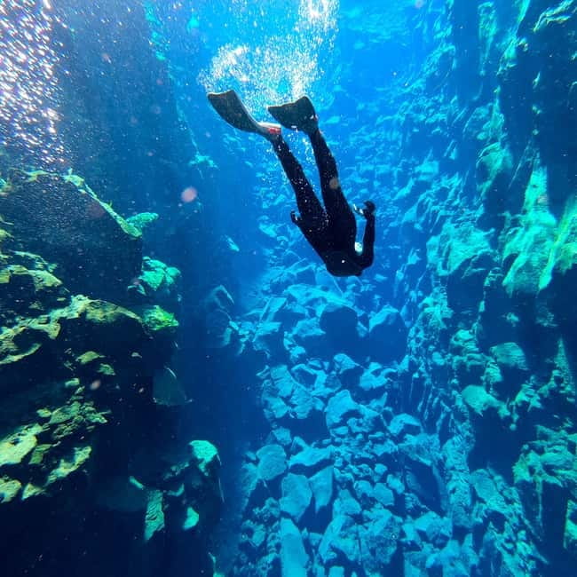 From Reykjavík: Silfra Snorkeling with free photos - After snorkeling: warm drinks, cookies, and GoPro photo souvenirs