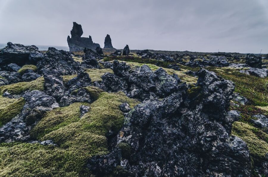 From Reykjavik: Snæfellsnes Full-Day Tour with Homemade Meal - Djúp alónssandur Black Beach: A Photography Stop Built for Wind