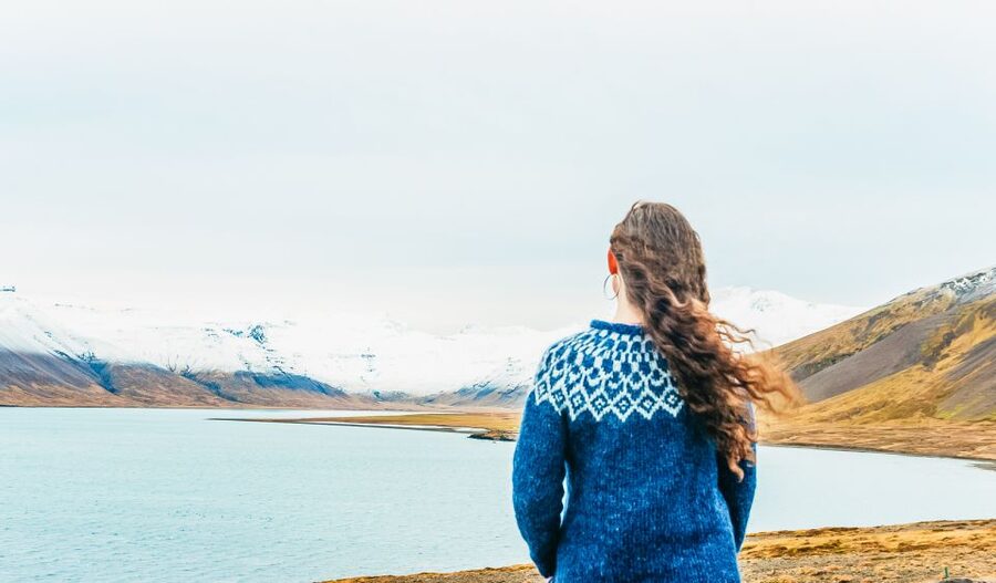 From Reykjavik: Snæfellsnes Full-Day Tour with Homemade Meal - Arnarstapi and Buðarkirkja: Coastal Cliffs Plus a Historic Pause