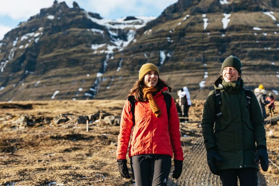From Reykjavik: Snæfellsnes Peninsula Full-Day Tour - Ytri Tunga seals: how to maximize your odds without waiting forever