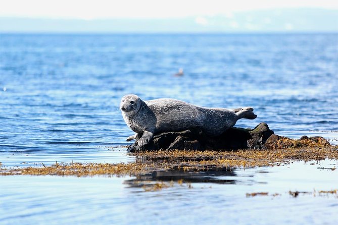 From Reykjavik: Snaefellsness Peninsula small group day tour - Quick hits before you go