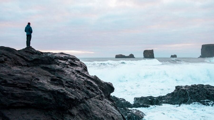 From Reykjavik: South Coast Full-Day Trip - Seljalandsfoss, the walk-behind moment you will talk about later