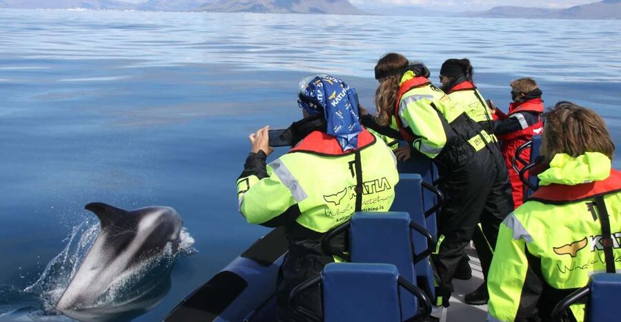From Reykjavik: Whale Watching Tour by Speedboat - Key Things I’d Put on Your Radar