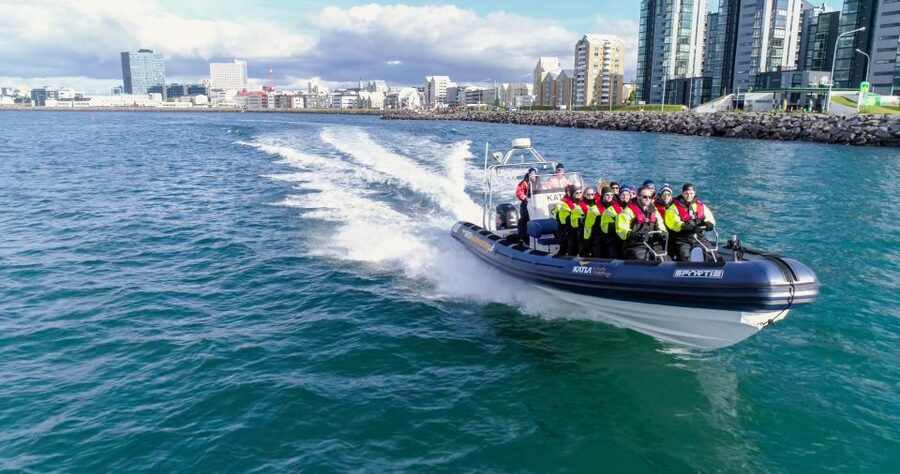 From Reykjavik: Whale Watching Tour by Speedboat - Why This RIB Whale Tour Feels Different Than Most