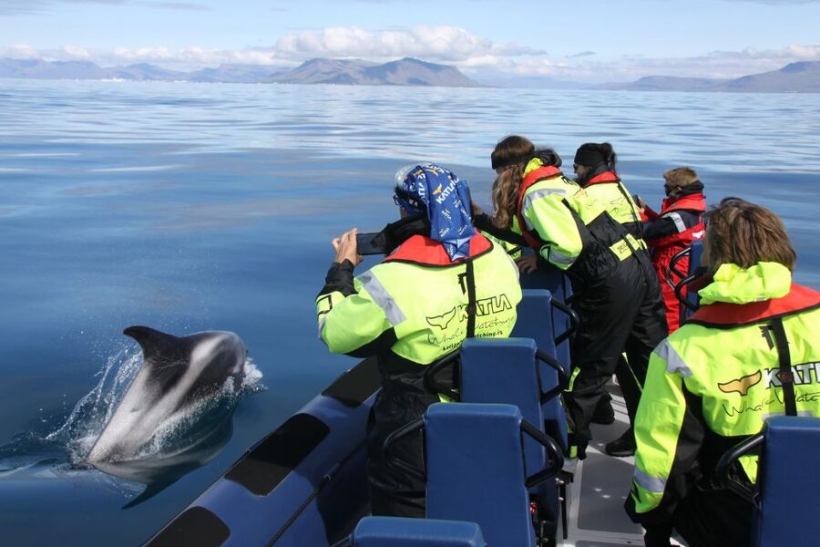From Reykjavik: Whale Watching Tour by Speedboat - Harpa and Sun Voyager Before the Whale Search