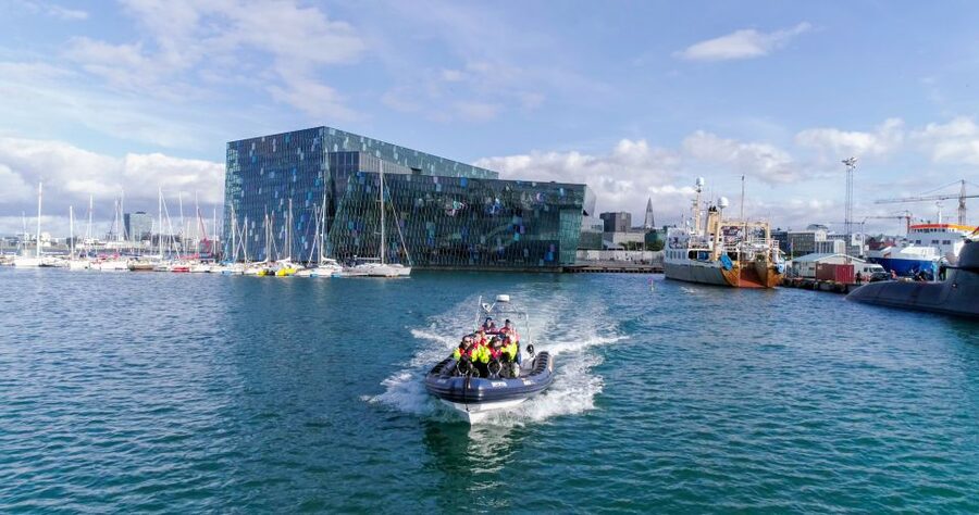 From Reykjavik: Whale Watching Tour by Speedboat - Faxaflói Bay Wildlife: What You’re Actually Looking For
