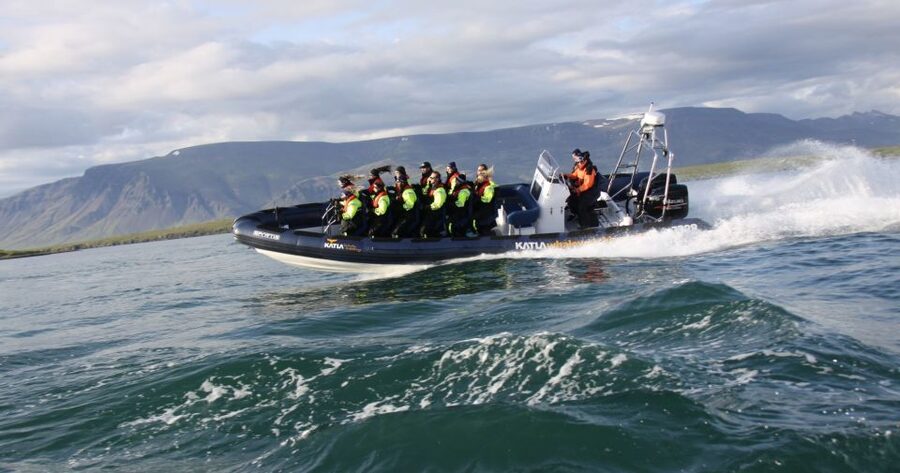 From Reykjavik: Whale Watching Tour by Speedboat - Humpbacks, Minke Whales, and the Reality of Close Encounters
