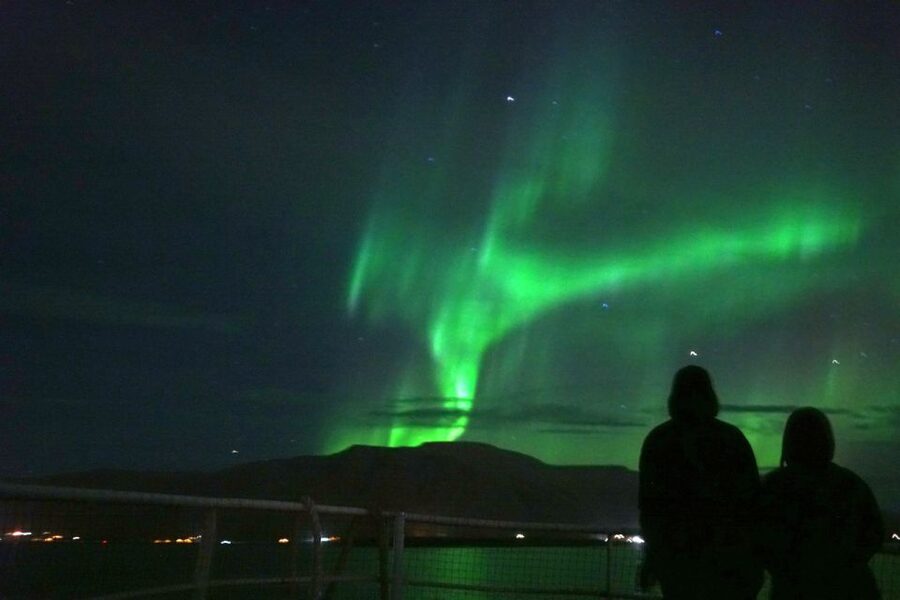 From Reykjavik: Whales and Northern Lights Boat Tour - Who This Tour Fits Best (and Who Might Prefer Something Else)