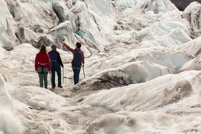 Glacier Hike from Skaftafell - Extra Small Group - Price and Value: Why $156 Makes Sense for What You Get