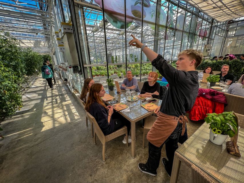 Golden Circle & Lunch at Fridheimar Tomato Farm- with photos - Who should book this Golden Circle and Tomato Farm day