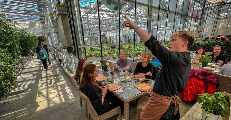 Golden Circle & Lunch at Fridheimar Tomato Farm- with photos - What it is like to spend a day outside in Iceland weather