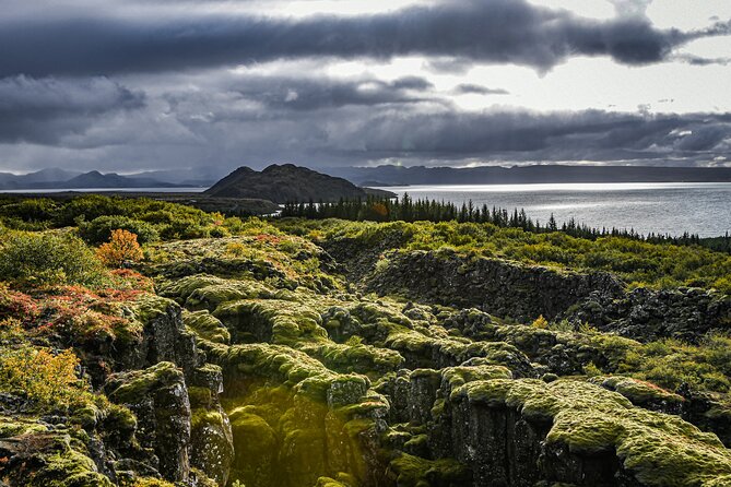 Golden Circle, Secret Lagoon & Friðheimar (Small Group) - Who Should Book This Golden Circle + Secret Lagoon Tour