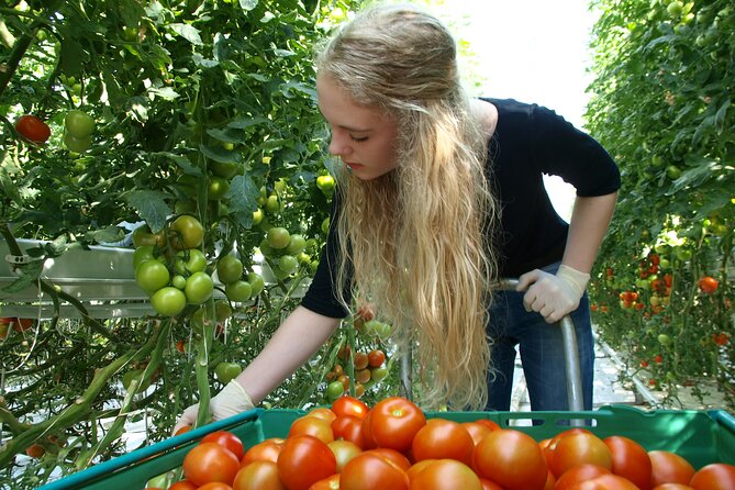 Golden Circle Tales, Tomato Farm & Kerid – Small Group from RVK - Oxararfoss and Efstidalur Dairy Farm: The Quick Stops That Feel Personal