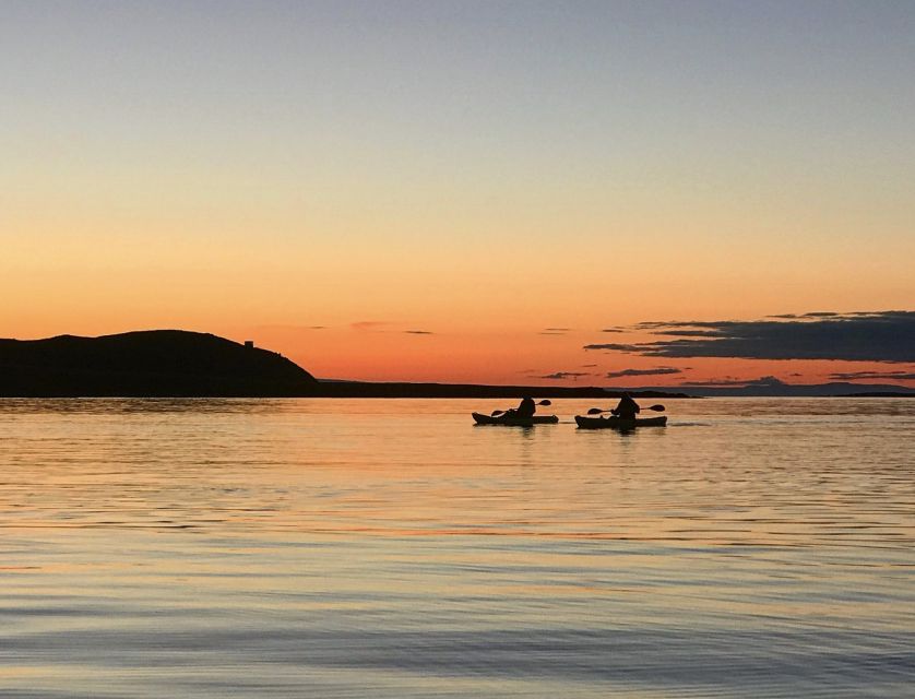 Grundarfjörður: Midnight Sun Kayaking Adventure - Seal Skerry wildlife: seals, seabirds, and calm nature time
