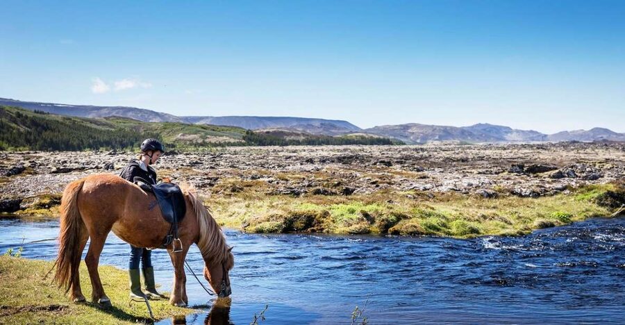 Hafnarfjörður: Horseback Riding Tour in Reykjavik Area - Key things that make this ride worth your time