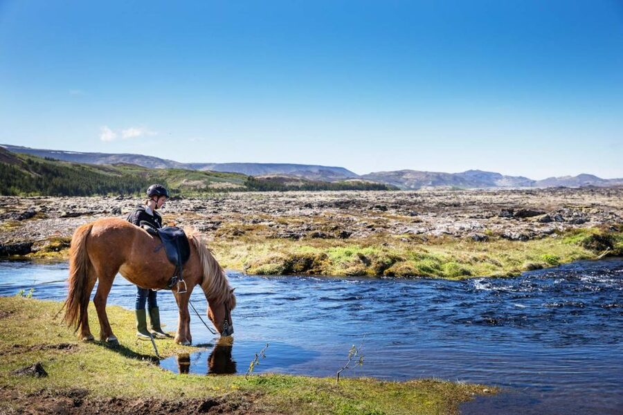 Hafnarfjörður: Horseback Riding Tour in Reykjavik Area - The 50-Minute Ride Through Moss-Covered Lava and Toward Bláfjöll