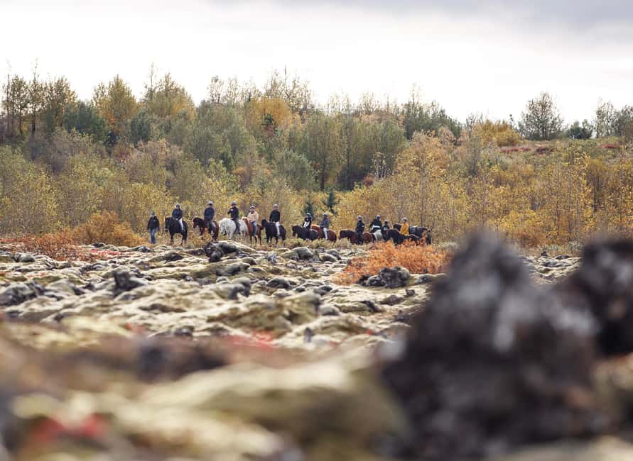 Hafnarfjörður: Horseback Riding Tour in Reykjavik Area - Price and Value: Is $132 Worth a 50-Minute Iceland Ride?