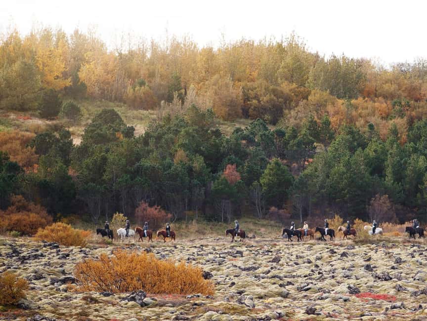 Hafnarfjörður: Horseback Riding Tour in Reykjavik Area - Where This Fits in Your Day Around Reykjavík