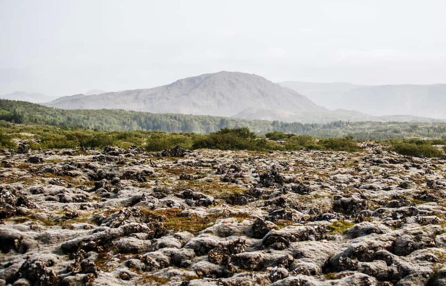 Hafnarfjörður: Horseback Riding Tour in Reykjavik Area - Weather, Packing, and Small Things That Make a Big Difference