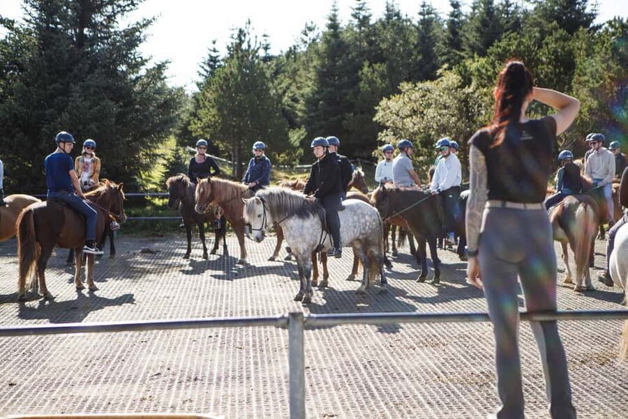 Hafnarfjörður: Horseback Riding Tour in Reykjavik Area - Who Should Book, and Who Might Want to Skip It