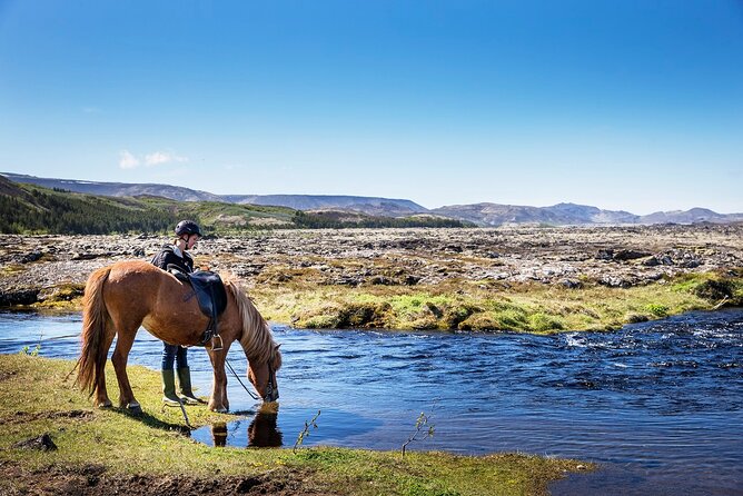 Horseback Riding Tour in Iceland - Horseback in Iceland, right by Reykjavík