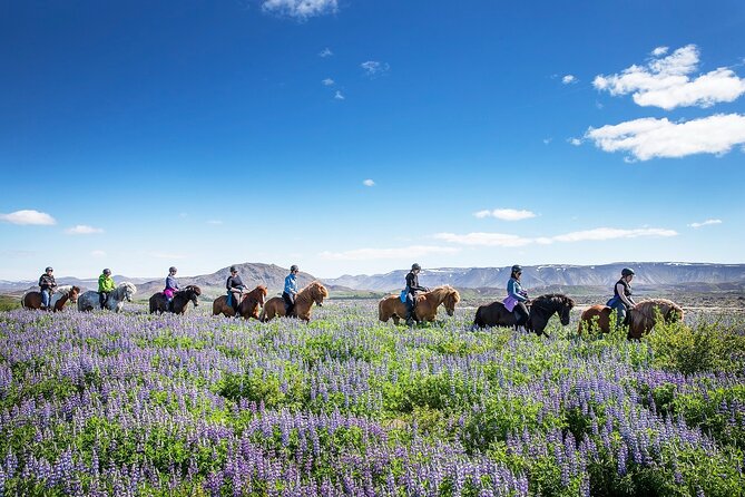 Horseback Riding Tour in Iceland - Who this horseback ride is perfect for