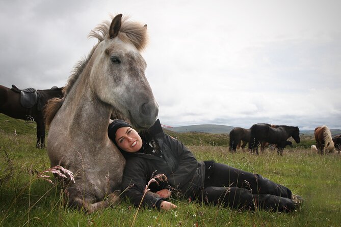 Horseback Riding Tour in Iceland - Quick practical tips before you go