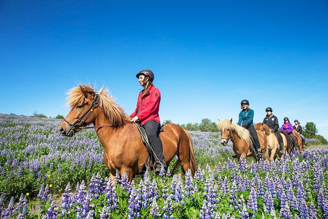 Horseback Riding Tour in Iceland - FAQ