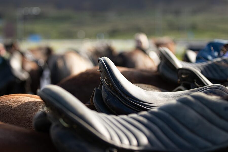 Hveragerdi: Countryside Charm Horse Riding Tour - Key highlights worth planning around