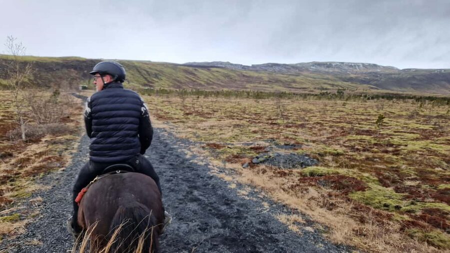 Hveragerði: Horseback Riding Tour for Beginners and … - Key Things To Know Before You Saddle Up In Reykjadalur