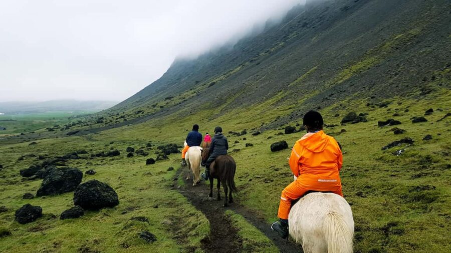 Hveragerði: Horseback Riding Tour for Beginners and … - What You Get Included: Helmets, Winter Suits, Rain Gear, Coffee Or Tea