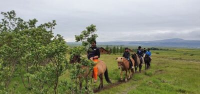 Hveragerdi: Reykjadalur (Hotspring Valley) Horse Riding Tour
