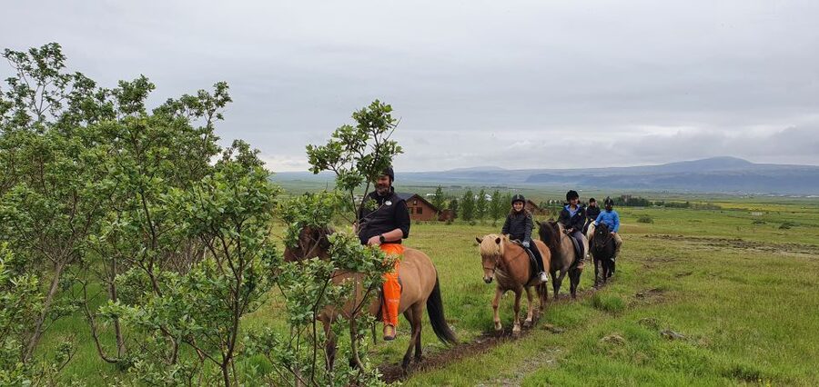 Hveragerdi: Reykjadalur (Hotspring Valley) Horse Riding Tour - The 2-hour plan: what happens from check-in to coffee