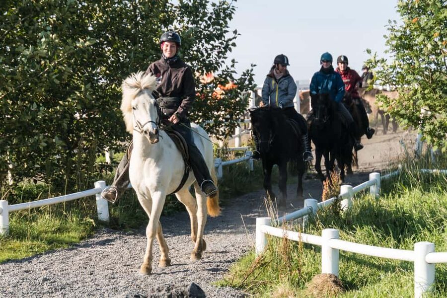 Hveragerdi: The Siggi Horse Riding Tour - Quick take: what makes the Siggi Horse Riding Tour special