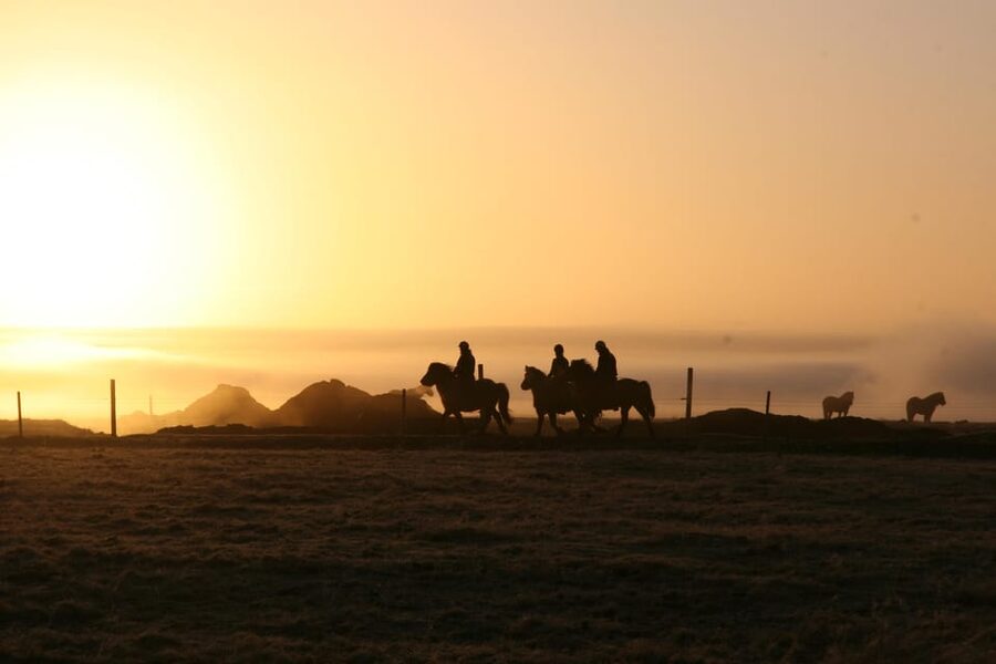 Hveragerdi: The Siggi Horse Riding Tour - Where you ride: meadows, lava, and river Varmá near Reykjavík