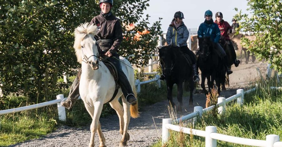 Hveragerdi: The Siggi Horse Riding Tour - The ride itself: how the 2-hour experience is paced