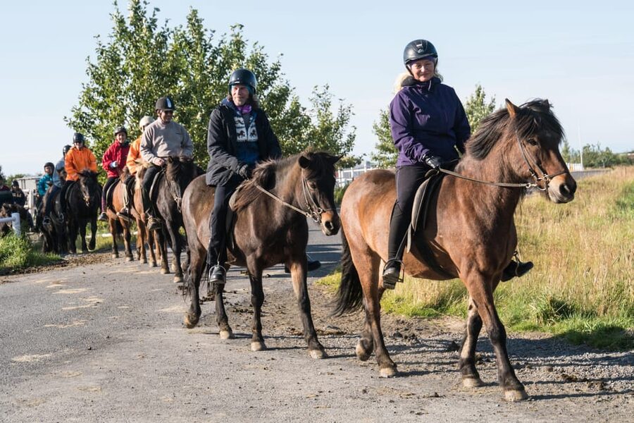 Hveragerdi: The Siggi Horse Riding Tour - The tölt moment: learning to ride an Icelandic gait with help