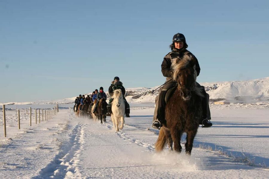 Hveragerdi: The Siggi Horse Riding Tour - Guides, safety, and why this feels controlled without feeling stiff