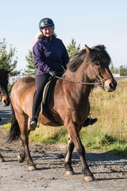 Hveragerdi: The Siggi Horse Riding Tour - What to bring: shoes, layers, and the small stuff that makes it easier