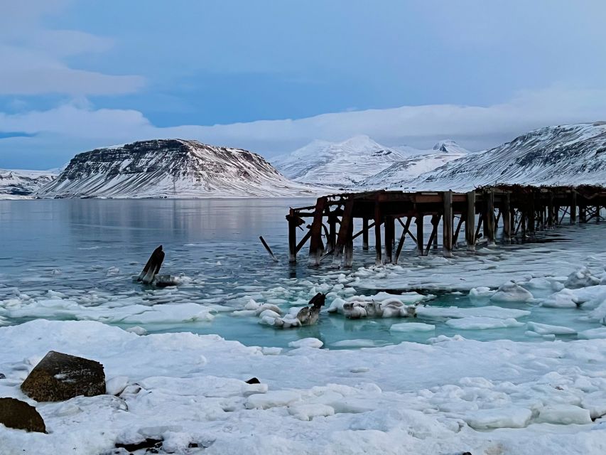 Iceland in a nutshell, private Super Jeep - Reykholt: Snorri Sturluson, Sagas, and a 13th-Century Hot Tub
