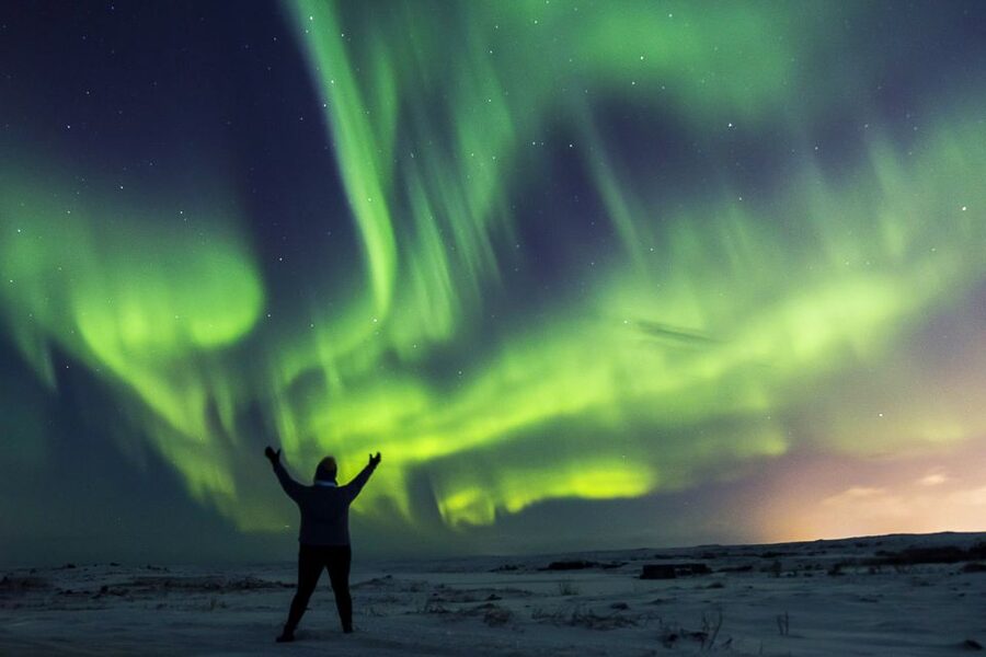 Iceland: Northern Lights Bus Tour from Reykjavik - The bus, pickup options, and what that saves you